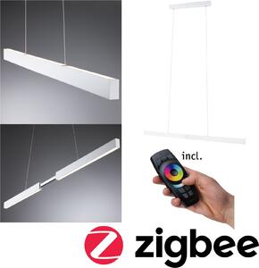 Lampada a sospensione Paulmann LED Aptare
