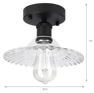 Plafoniera TRISH 1xE27/15W/230V nero/trasparente