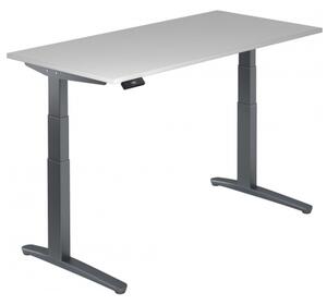 XBHM 16 GG - Grigio 160 x 80, regolabile elettricamente in altezza
