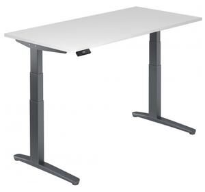 XBHM 16 GG - Bianco 160 x 80, regolabile elettricamente in altezza