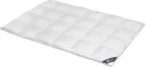Spessarttraum Piumino Piumino Platino 155 x 200 cm Extra caldo