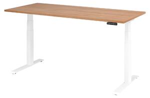 Scrivania regolabile in altezza XDKB | 2 motori | 120 - 180 cm | elettrica, dimensioni piano:180 x 80 cm, colore piano:noce, colore struttura:bianco