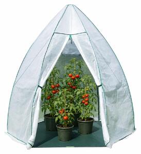 Tenda per svernamento Westmann e serra in plastica Avocado Bianco 250x250x250 cm