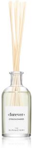 Ambientair The Olphactory Citrus & Shades diffusore di aromi Forever 100 ml