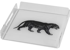 Vassoio quadrato like water mini tiger, dimensioni h20x20x4 cm, spessore 5 mm