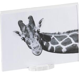 Photo frame small air trasparente incolore, spessore 10-2 mm