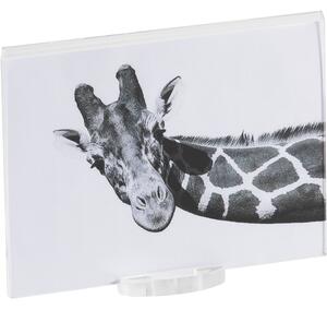 Photo frame medium air trasparente incolore, spessore 10-2 mm
