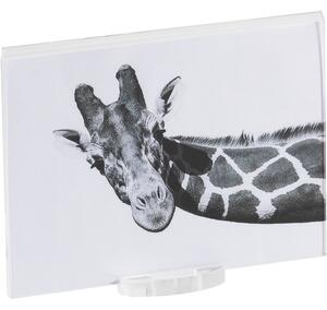 Photo frame big air trasparente incolore, spessore 10-2 mm