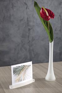 Porta foto Small Twist per foto 10x15 dimensioni 18x3.5xh13 cm photo frame big twist trasparente
