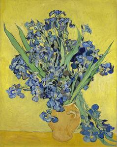 Vincent van Gogh - Stampa artistica Irises 1890, (30 x 40 cm)