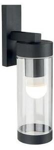 Lampada da parete per esterni 1xE27/60W/230V IP44 nera