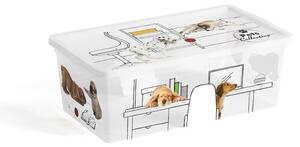 Scatola con coperchio bianca in plastica 34x19x12 cm C Box Style – KIS