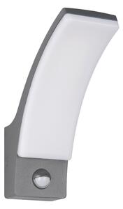 Illuminazione esterna LED con sensore di movimento da parete (altezza totale 22,5 cm) Beja – Reality