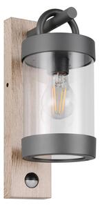 Illuminazione esterna con sensore di movimento da parete (altezza totale 33 cm) Sambesi – Trio