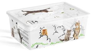 Scatola con coperchio bianca in plastica 37x26x15 cm C Box Style – KIS