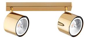 Argon Faretto da soffitto Chloe orientabile, a 2 luci, acciaio color ottone