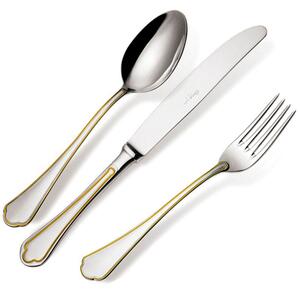 Servizio Posate DOMUS ORO 24 pezzi acciaio inox 1810 lucidato a specchio spessore 3 mm in astuccio regalo EME