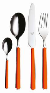 Serv.posate 36 pezzi fantasia carota in Acciaio Inossidabile, colore Carota, Lavabile in lavastoviglie