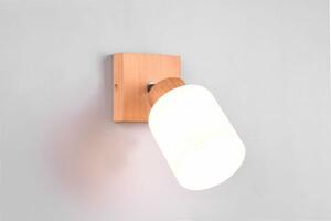 Spot assam spot singolo con vetro bianco h.23,7cm base legno r81111030