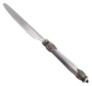 Coltello tavola Arianna Set di 6 Pezzi in acciaio 18.10 Lunghezza 24 cm manico in Plexiglas con ghiera Anticata lavabile in lavastoviglie Grigio