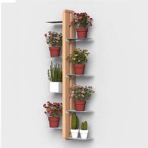 Porta piante Fissaggio a Parete Bifacciale ZIA FLORA 22x11xh 115 cm con struttura I in legno massello di faggio evaporato colore naturale Mensole in acciaio smaltato