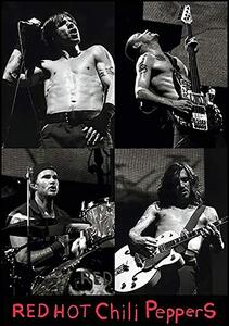 Posters, Stampe Red hot chili peppers Live, (61 x 91.5 cm)