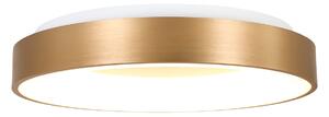 Steinhauer - plafoniera - Ringlede - oro - plastica metallo - Ø 48cm - LED - 2563GO