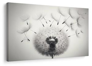 Quadro su tela – Soffione bianco e nero