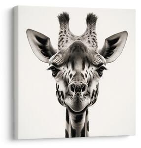 Quadro su tela – Sguardo della giraffa