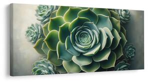 Quadro su tela – Bellezza della pianta grassa