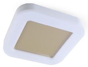 RIO PLAFONIERA QUADRATA DA ESTERNO IP65 BIANCA LED 24W LUCE CCT 3000K-4000K-6500K MODERNA DI SOVIL
