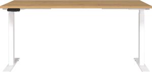Scrivania con altezza regolabile elettricamente 80x160 cm Jet – Germania