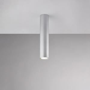 Plafoniera in Ferro Laccato Bianco Dag �8xH30 cm, Colore Argento, 1 X GU10 - 35 Watt Max