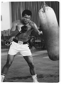 Quadro su tela Muhammad Ali - Punch Bag