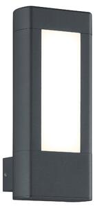 Applique da Esterno a LED in Pressofusione di alluminio Antracite