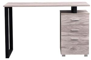 Scrivania con Cassettiera Tavolo Porta Pc Computer Acciaio Legno Ufficio Grigio