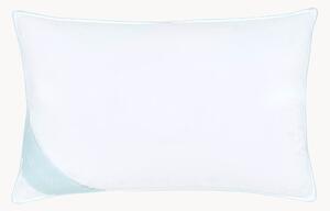 Cuscino in piuma Comfort, duro