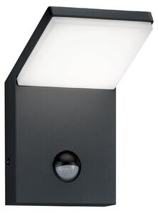 Applique da Esterno a LED in Pressofusione di alluminio Antracite