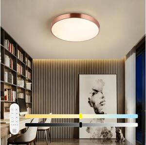 Immax NEO 07321L-LED Plafoniera dimmerabile NEO LITE SEMPLICI 36W/230V, diametro 40 cm, finitura ramata, con telecomando