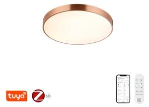 Immax NEO 07321L-LED Plafoniera dimmerabile NEO LITE SEMPLICI 36W/230V, diametro 40 cm, finitura ramata, con telecomando