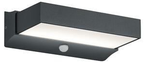 Applique da Esterno a LED in Pressofusione di alluminio Antracite