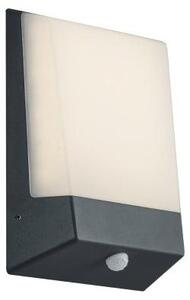 Applique da Esterno a LED in Pressofusione di alluminio Antracite