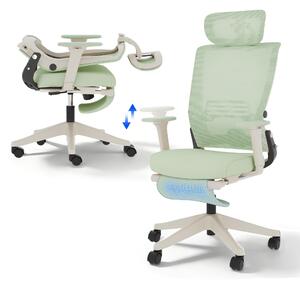 FLEXISPOT Foldex Sedia da ufficio ergonomica, sedia da ufficio pieghevole per piccoli ambienti con supporto lombare Braccioli regolabili in altezza con poggiapiedi Verde