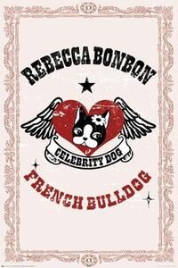 Poster - French bulldog