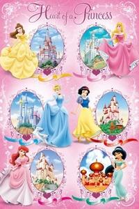 Poster - Disney princess castles
