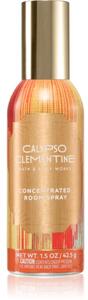 Bath & Body Works Calypso Clementine profumo per ambienti 42,5 g