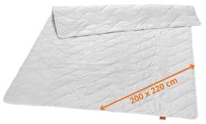 Sleepling - Piumino estivo, 200 x 220 cm, 100% seta selvatica, rinfrescante e ideale per le notti calde