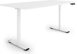 ESMART ERX-122WW 160x80cm Bianco Scrivania ergonomica sit-stand Regolabile elettricamente in altezza in modo continuo 73,5-122,5 cm 3 x memoria Ricordo attività Montaggio rapido