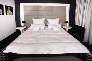 Piumino HS92 220x240 cm 70% PIUME - 30% PIUMINE - 1200 grammi Mayaadi Home