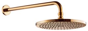 Omnires WGSET1GL Soffione doccia con braccio da 25 cm, dorato